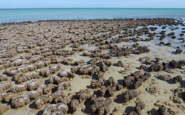 Still partying like it’s 1,999,999,999&nbsp;BCE