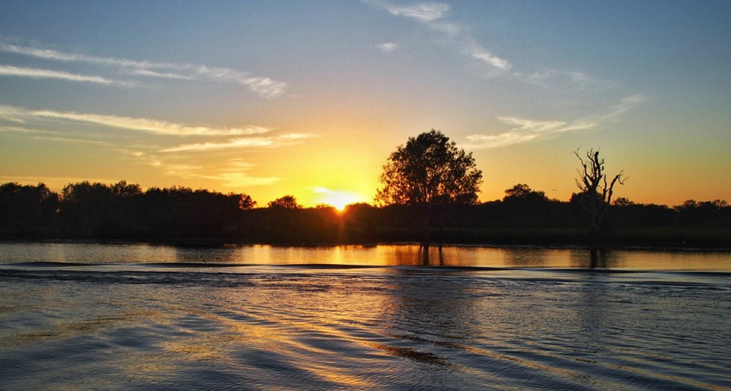 Don’t Swim in the Yellow Water 