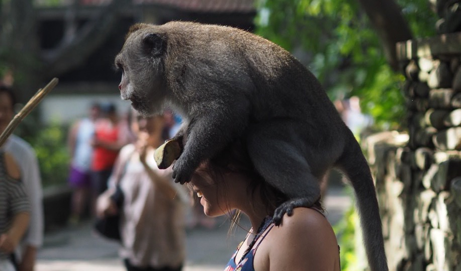 Take your stinking paws off&nbsp;me…