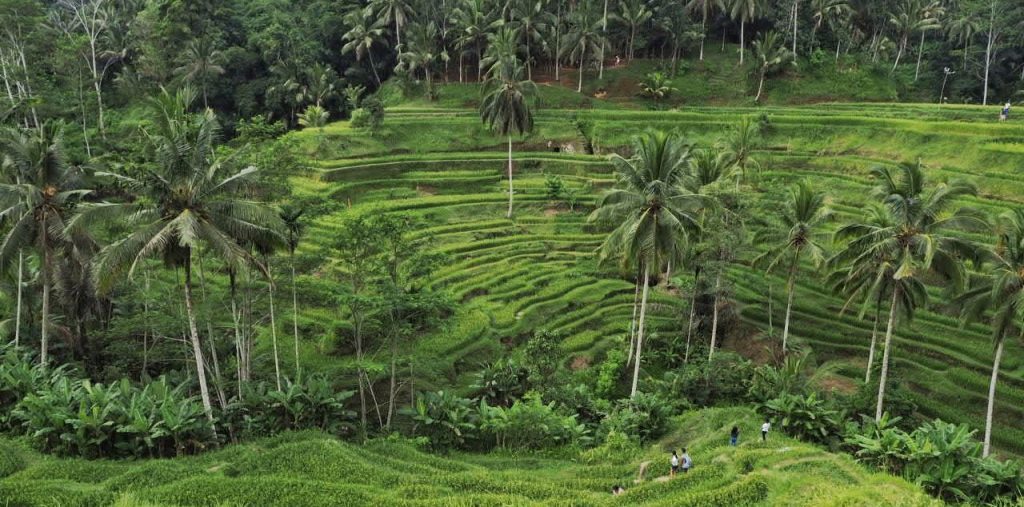 On North Bali Tourist&nbsp;Route