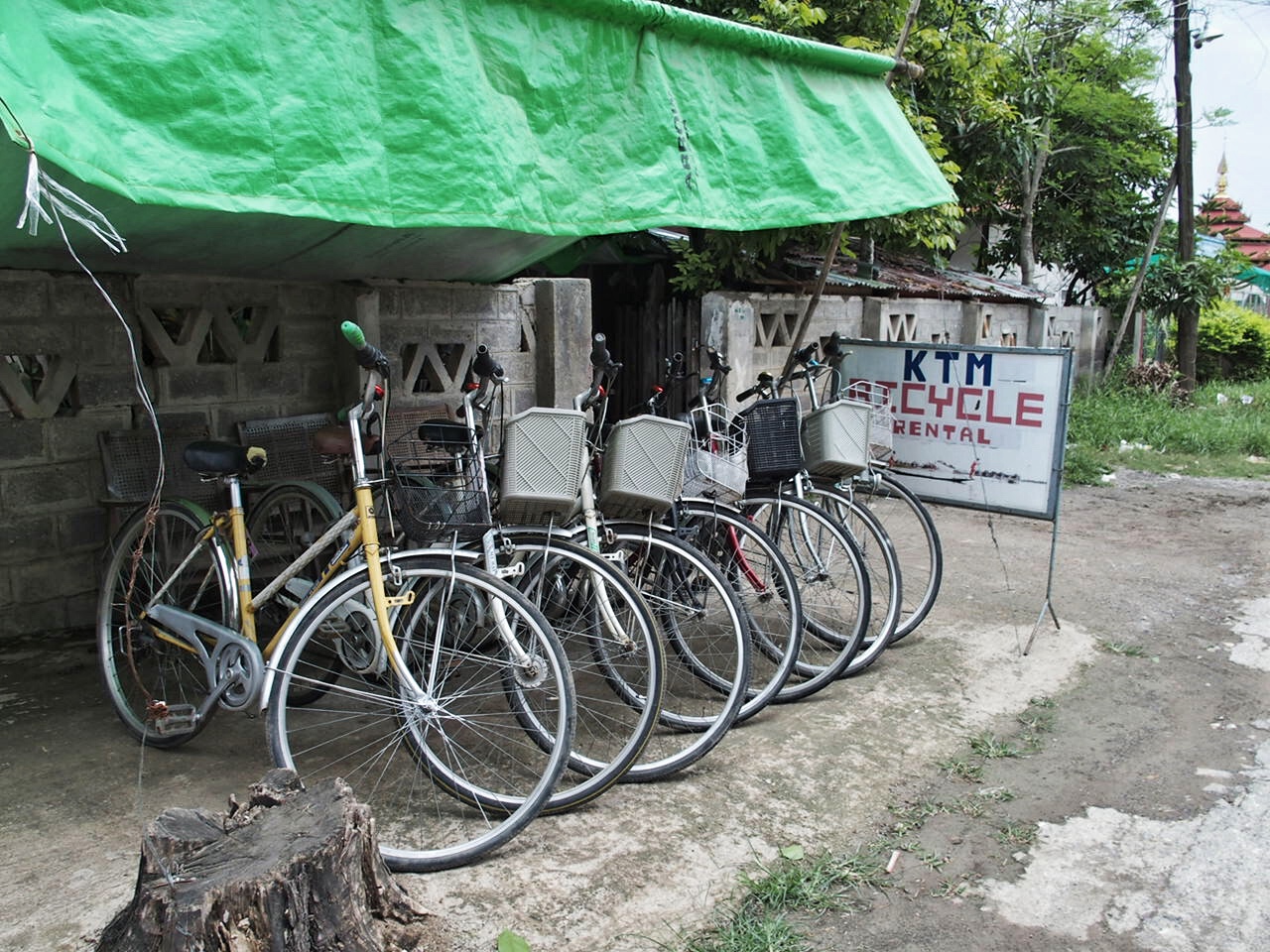 OLYMPUS DIGITAL CAMERA