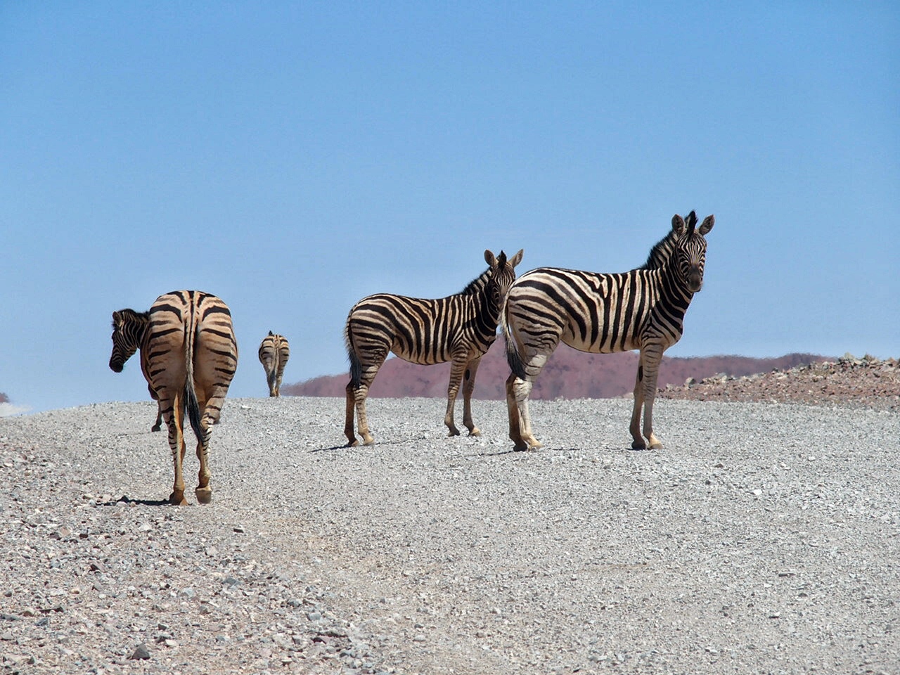 OLYMPUS DIGITAL CAMERA          Processed with Snapseed.