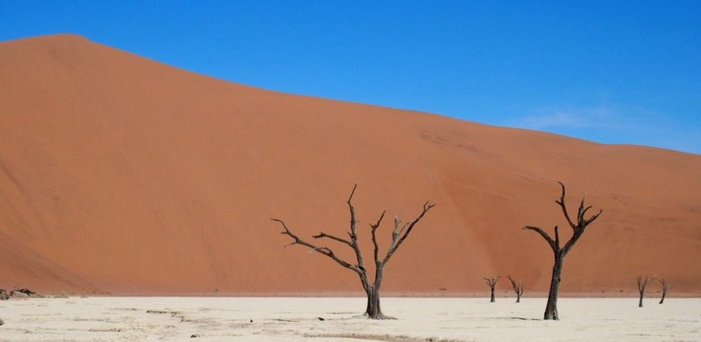 Dune Hiking in&nbsp;Sossusvlei