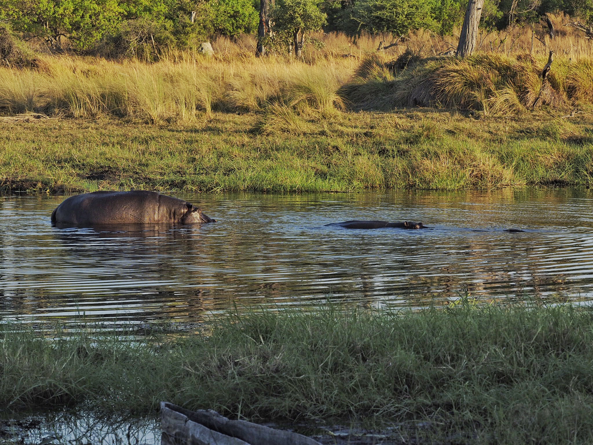 Botswana Okavango Delta