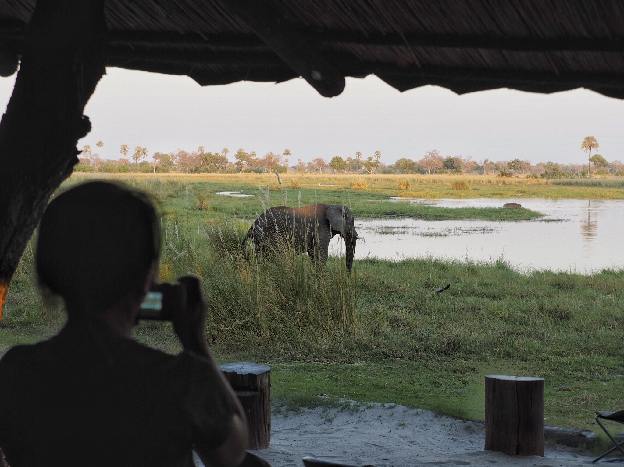 Botswana Okavango Delta