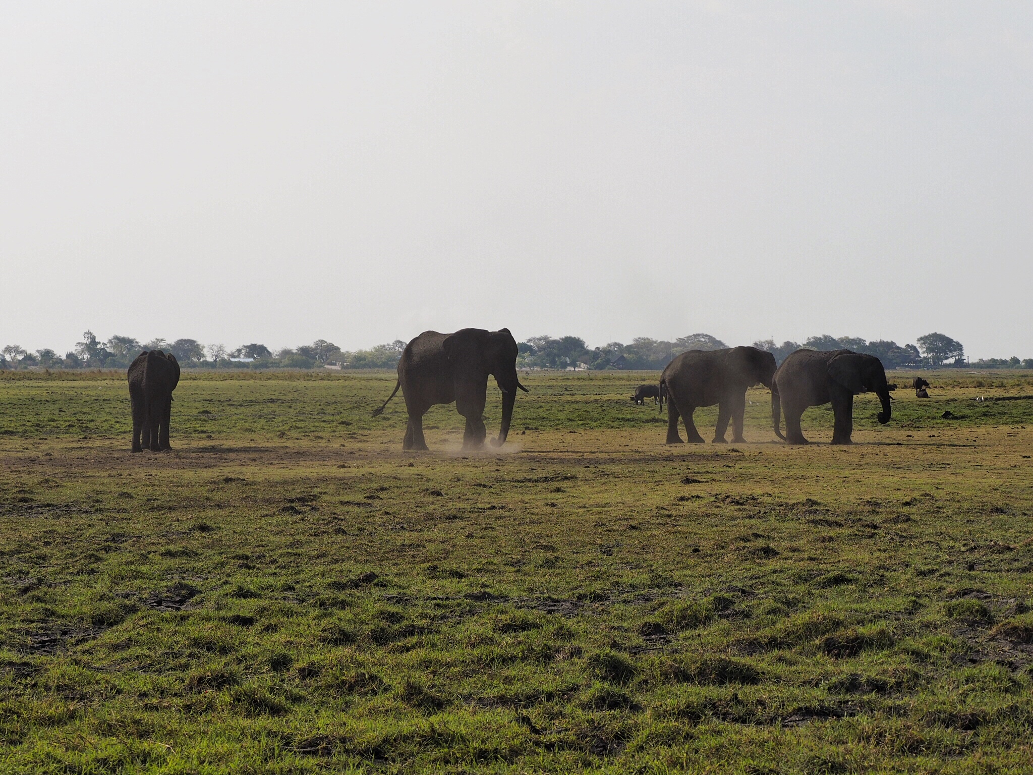 Botswana Chobe National Park