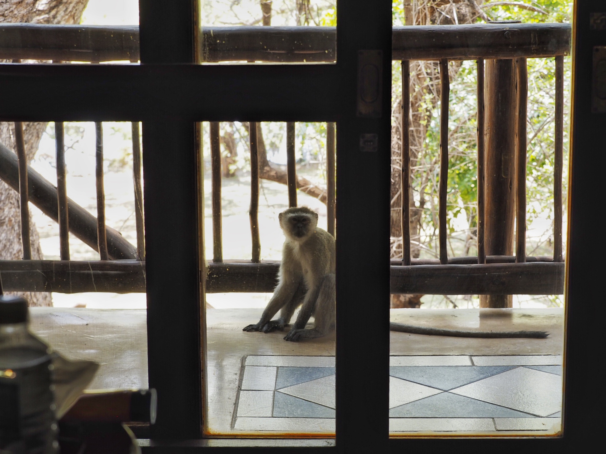 Botswana Chobe National Park