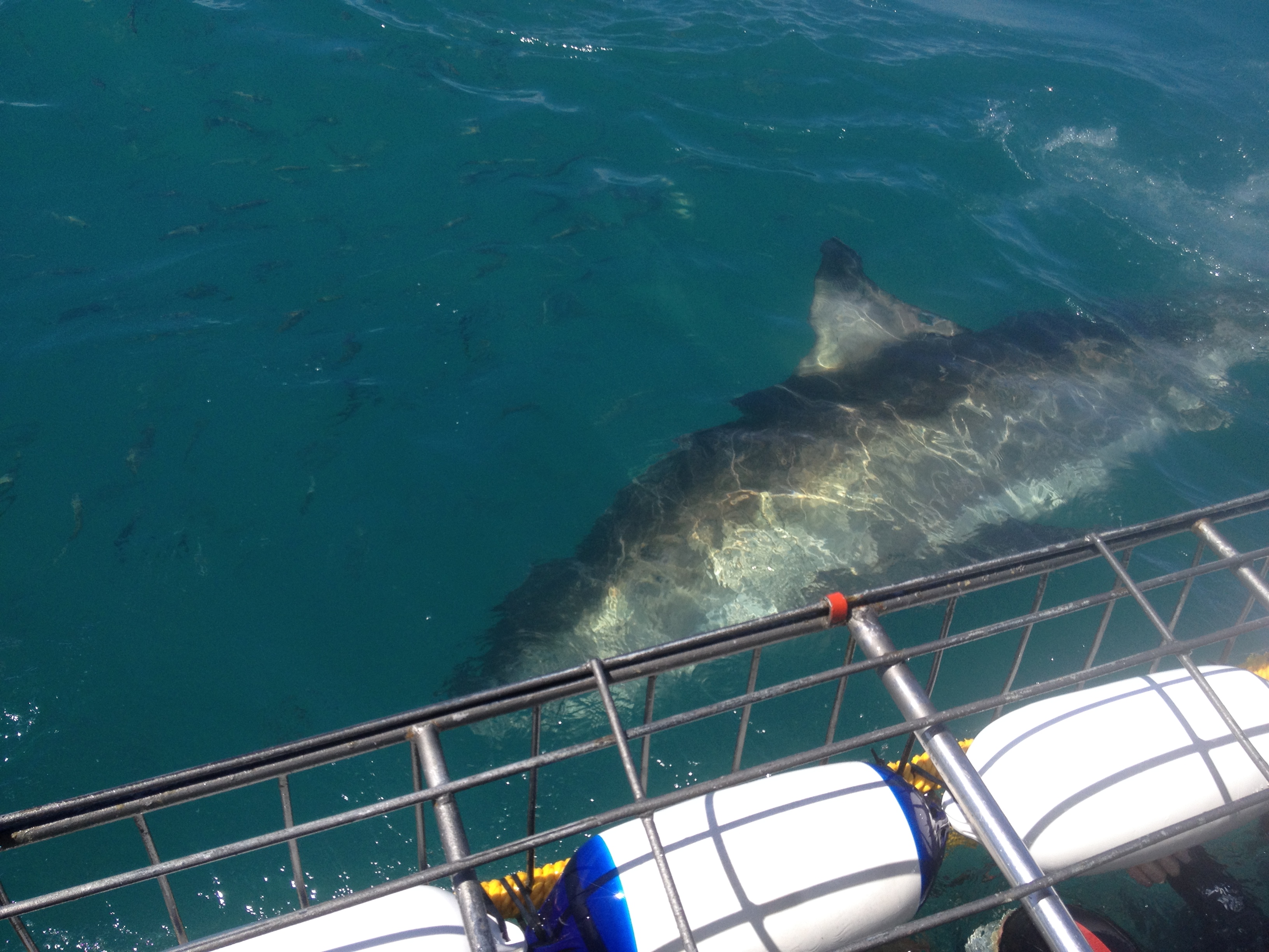 South Africa Western Cape