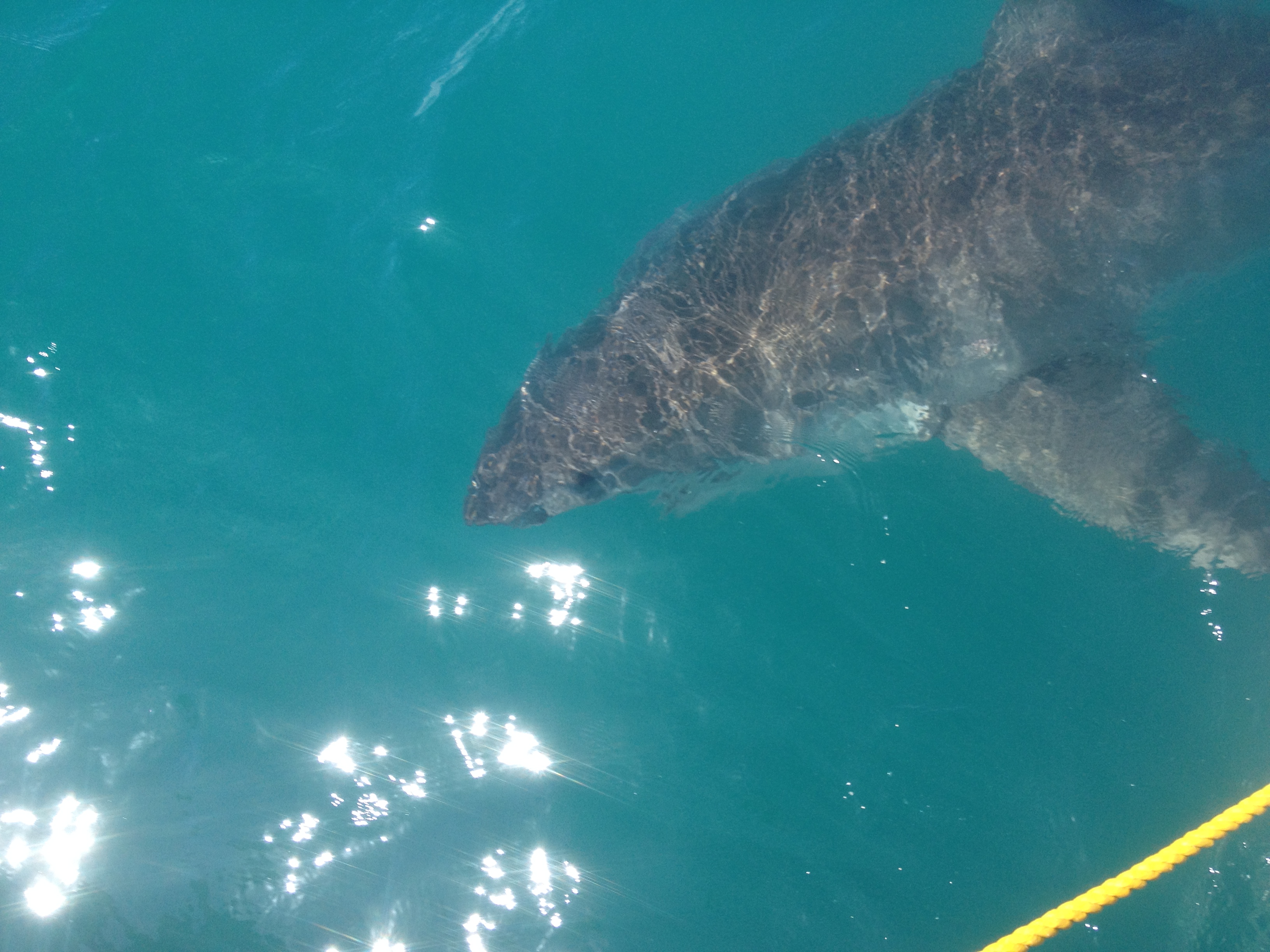 South Africa Western Cape