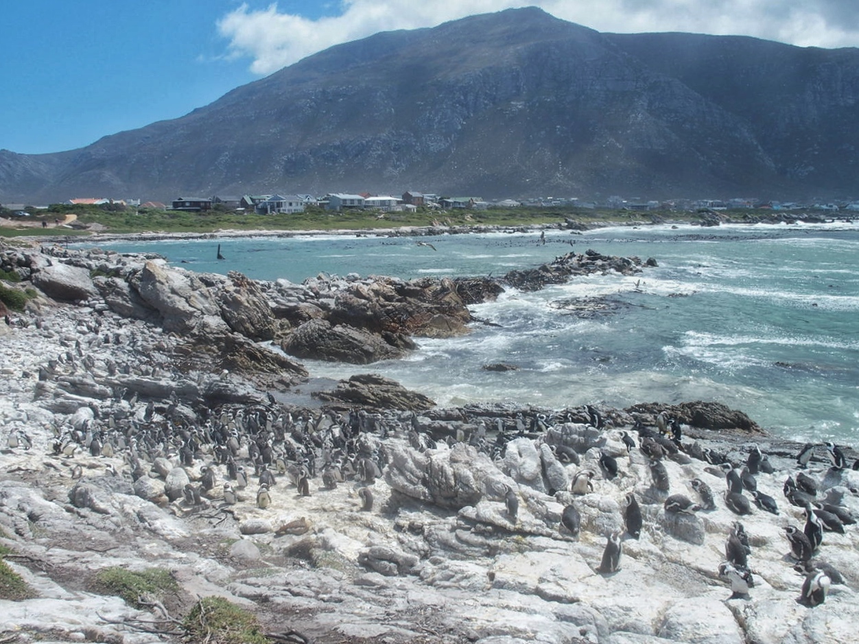 South Africa Western Cape