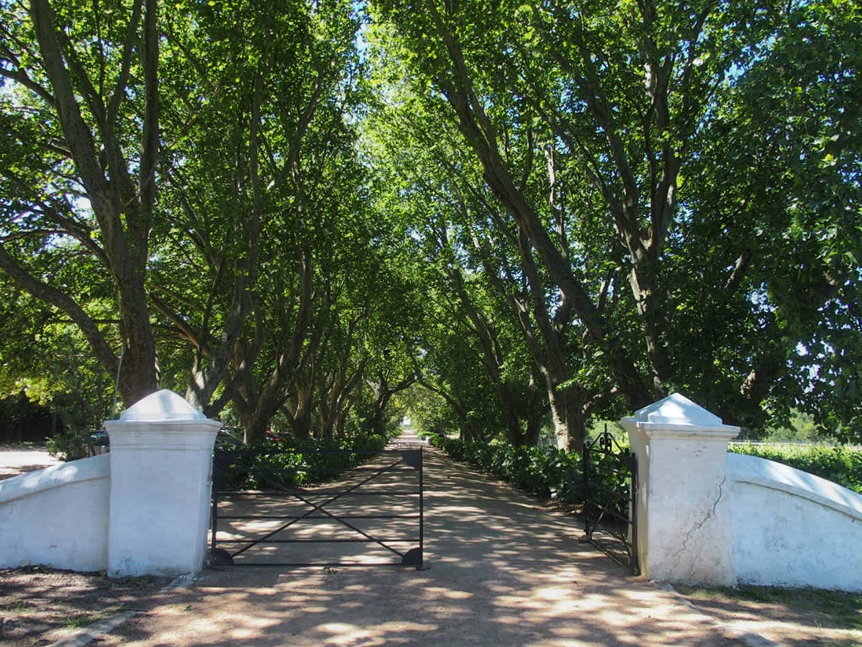 South Africa Western Cape