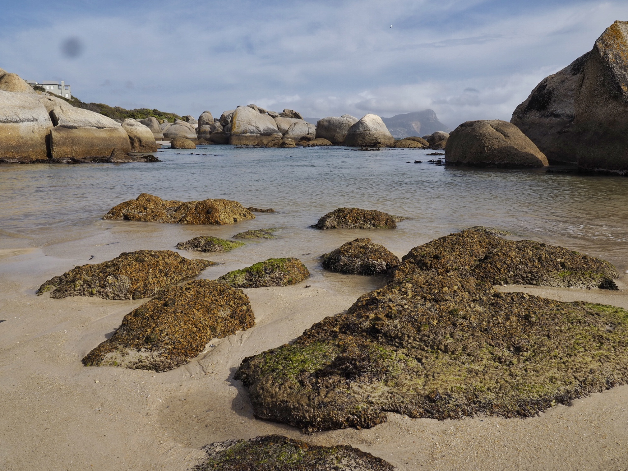 South Africa Cape Peninsula