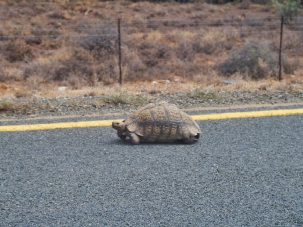 South Africa Western Cape
