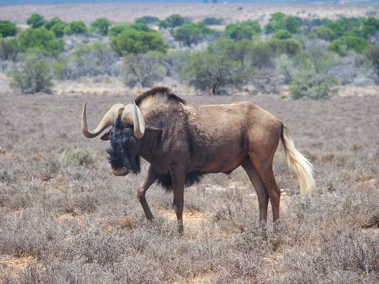 South Africa Eastern Cape