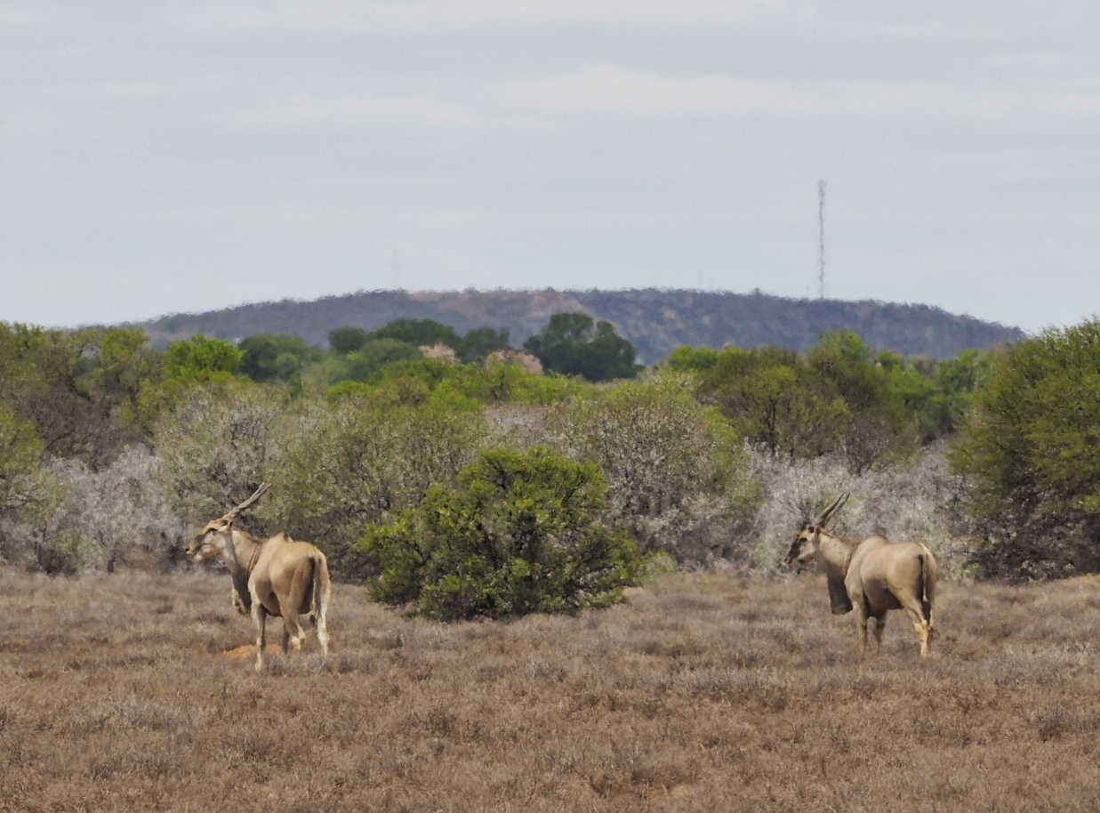 South Africa Eastern Cape