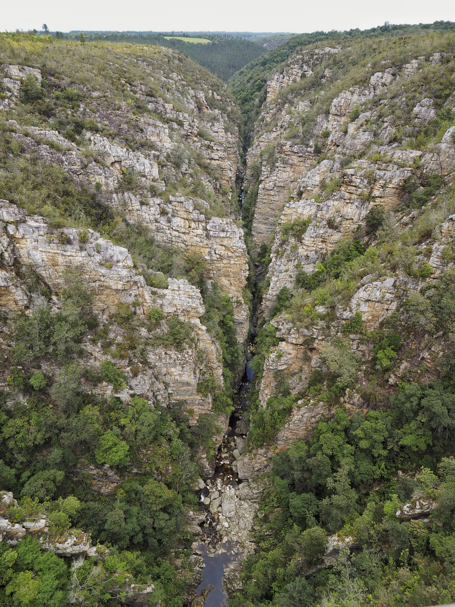 South Africa Western Cape