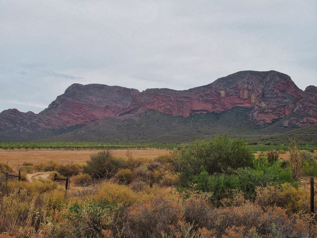 South Africa Western Cape