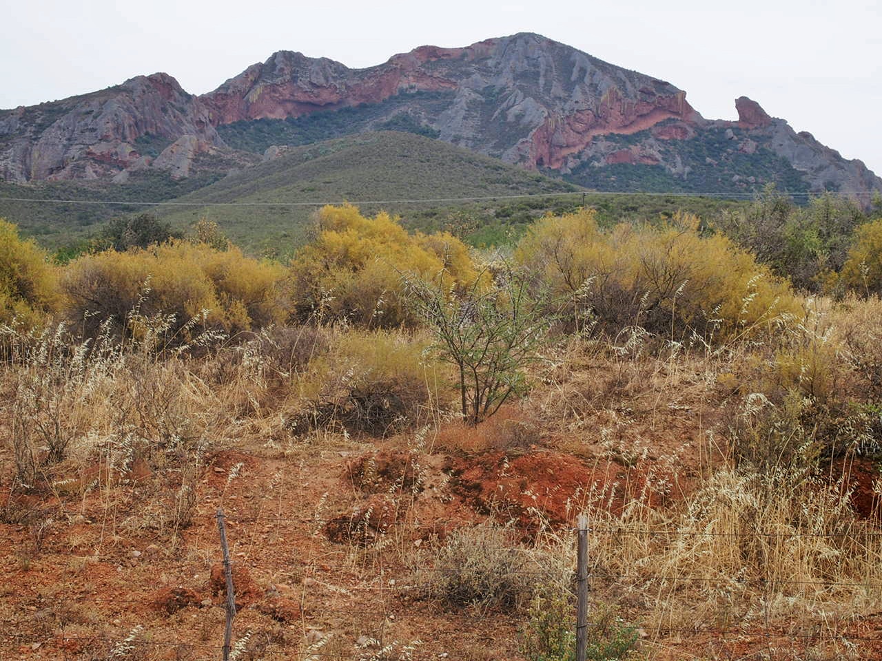 South Africa Western Cape