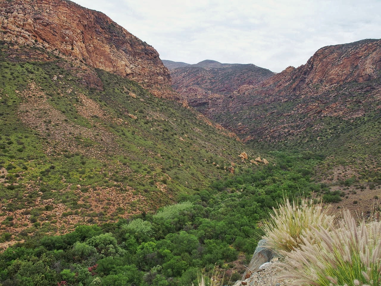 South Africa Western Cape