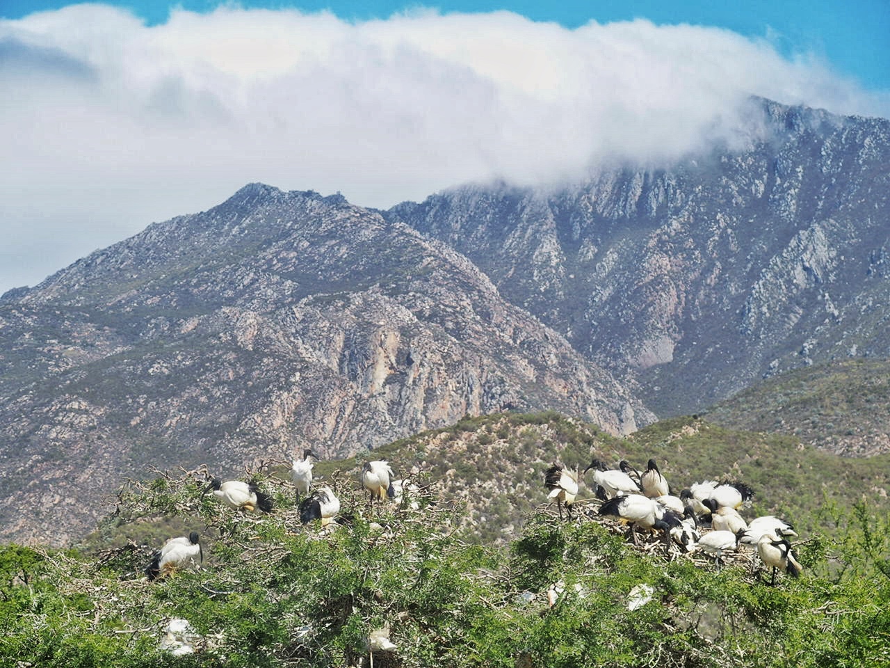 South Africa Western Cape