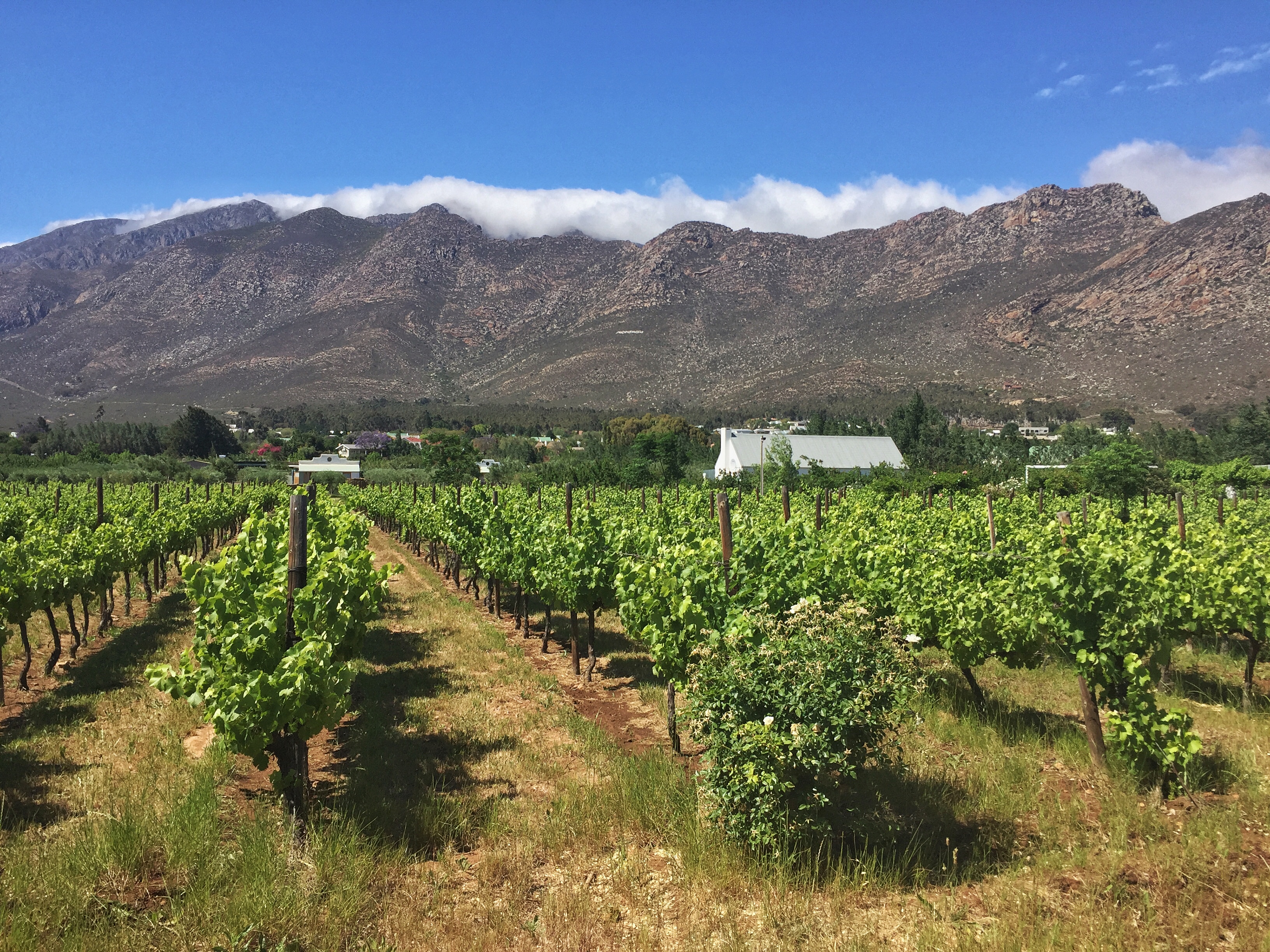 South Africa Western Cape