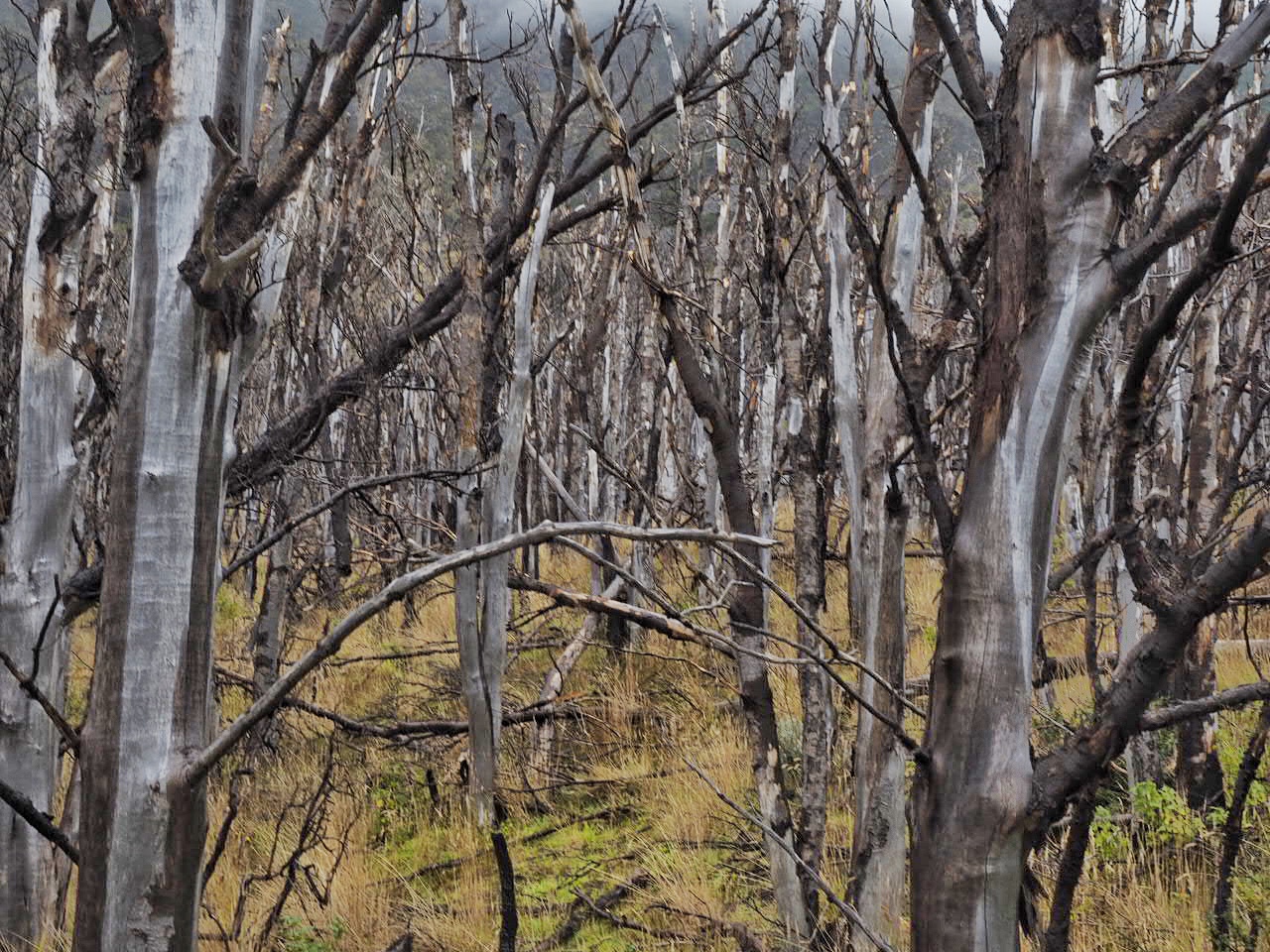 Chile Torres del Paine National Park