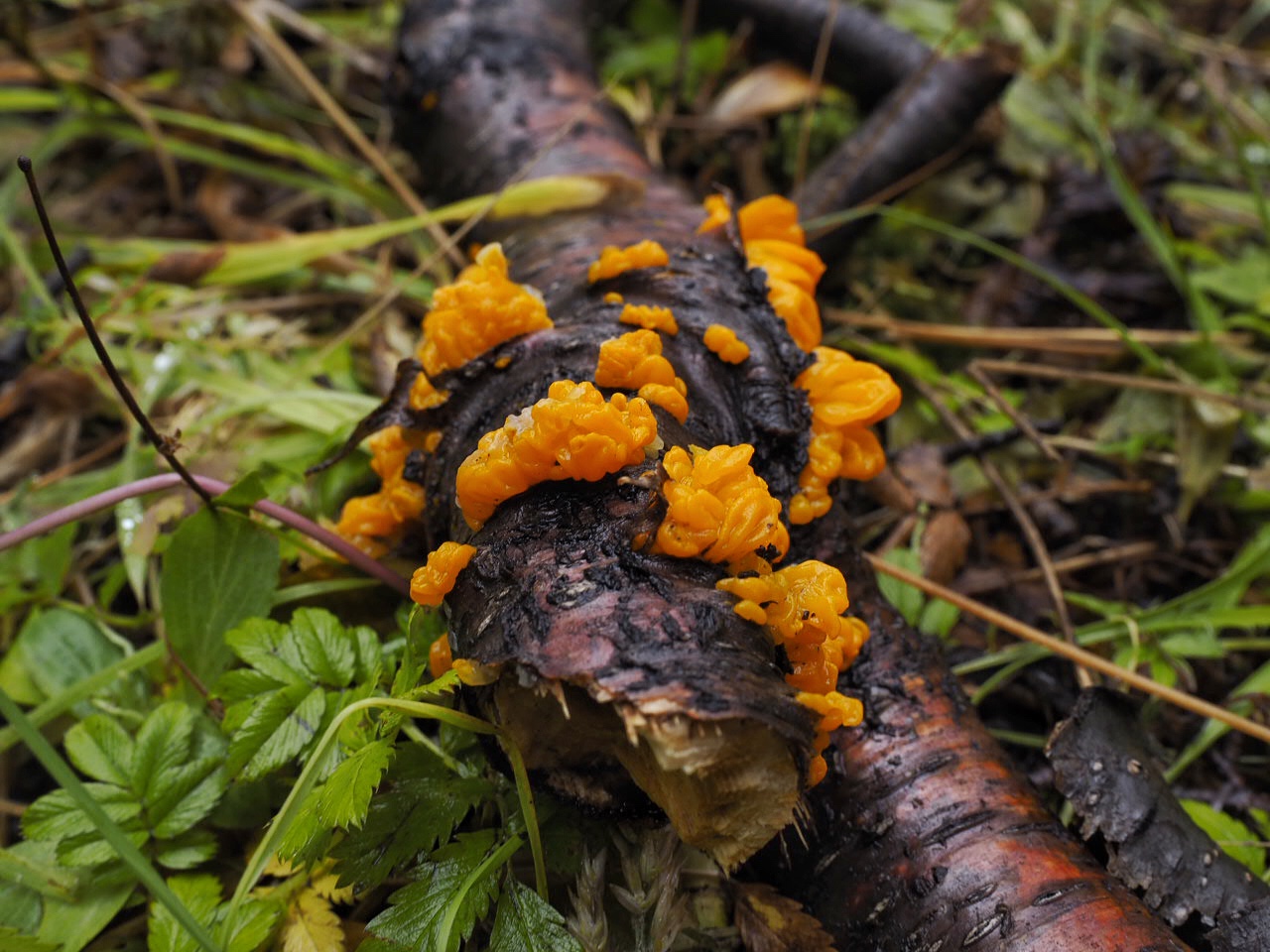 Chile Torres del Paine National Park