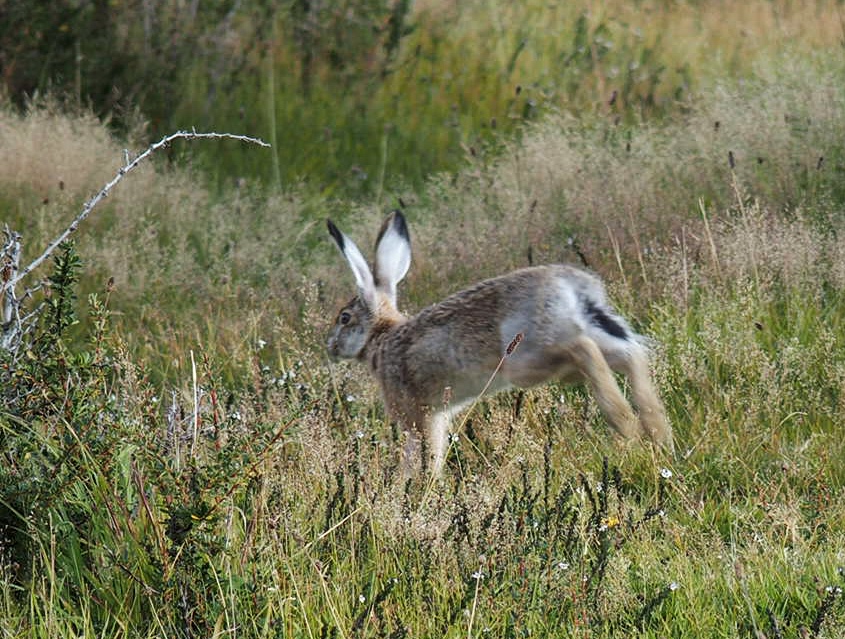 Chile Torres del Paine National Park