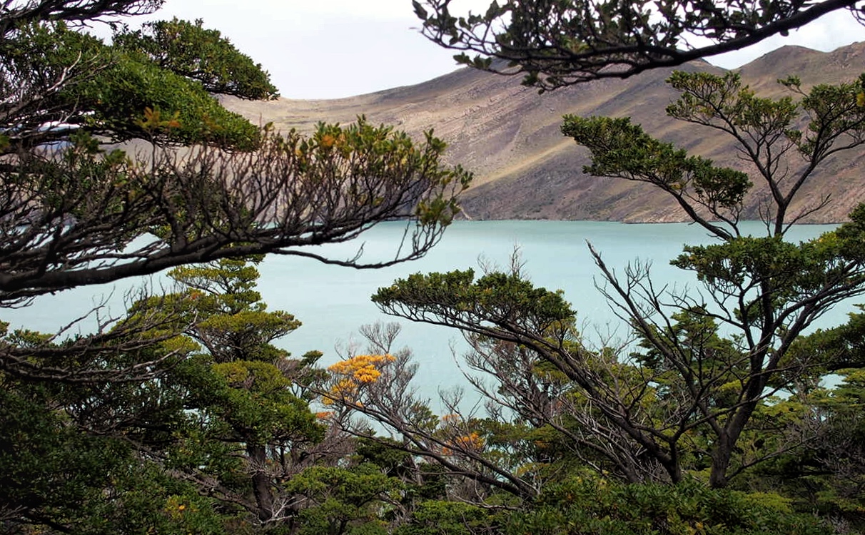 Chile Torres del Paine National Park