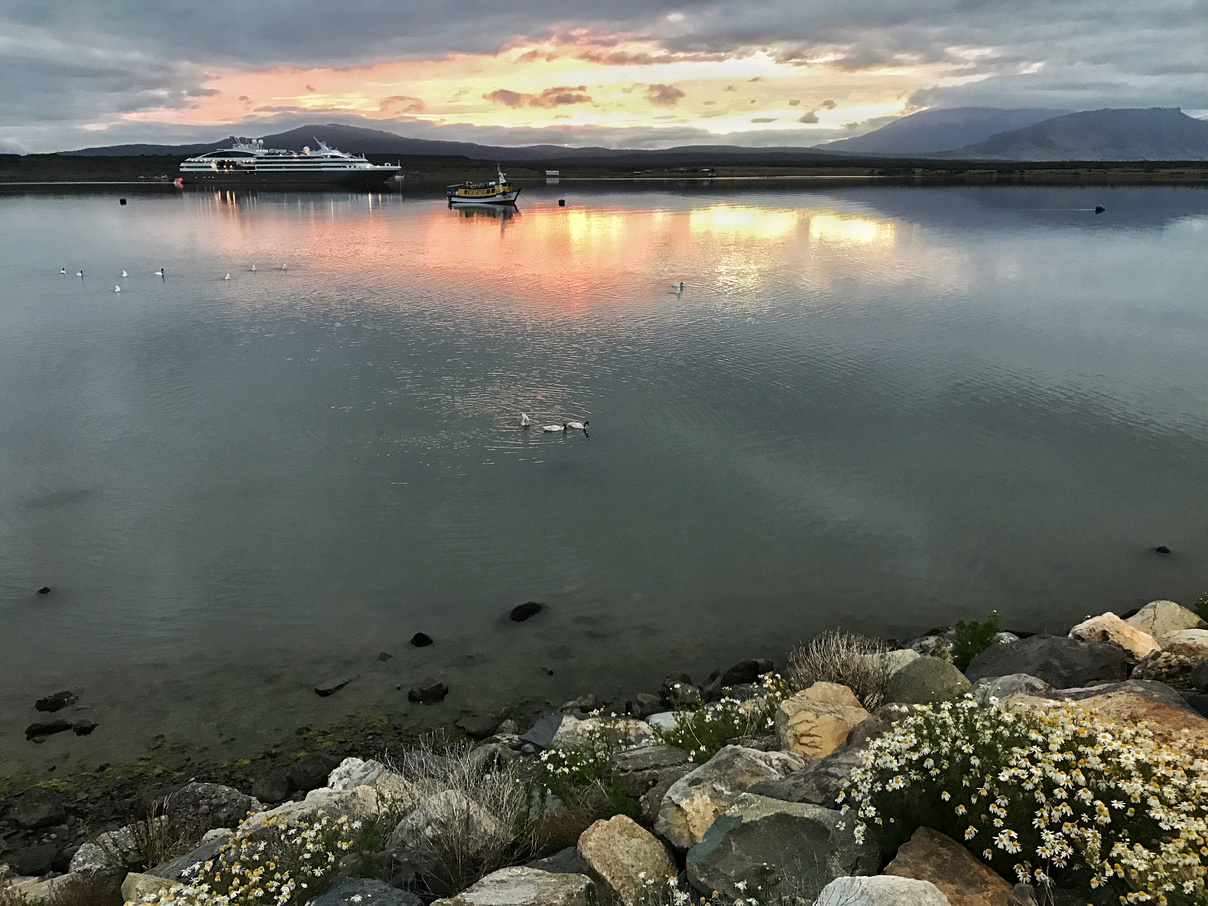 Chile Puerto Natales