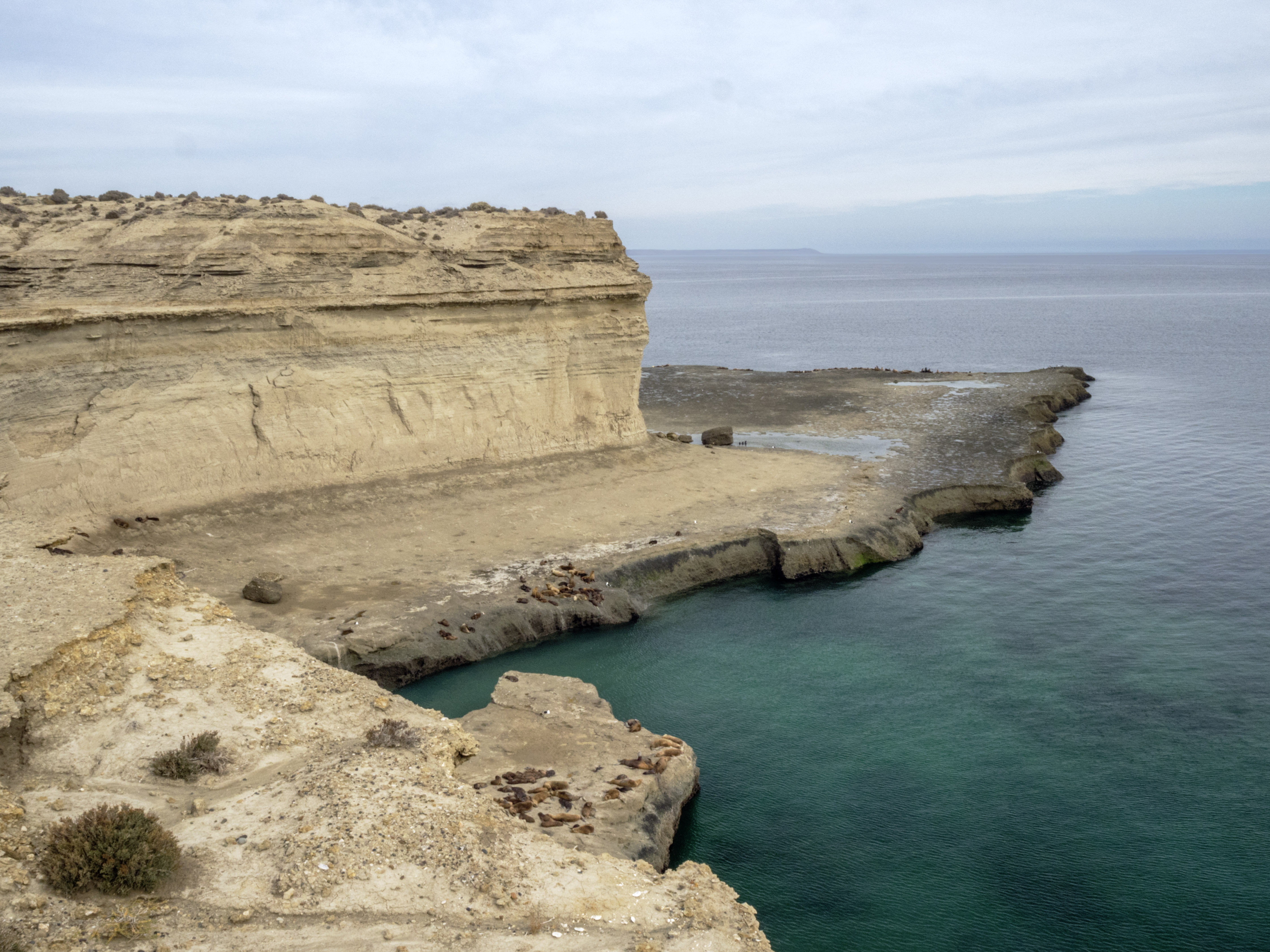 Argentina Peninsula Valdes