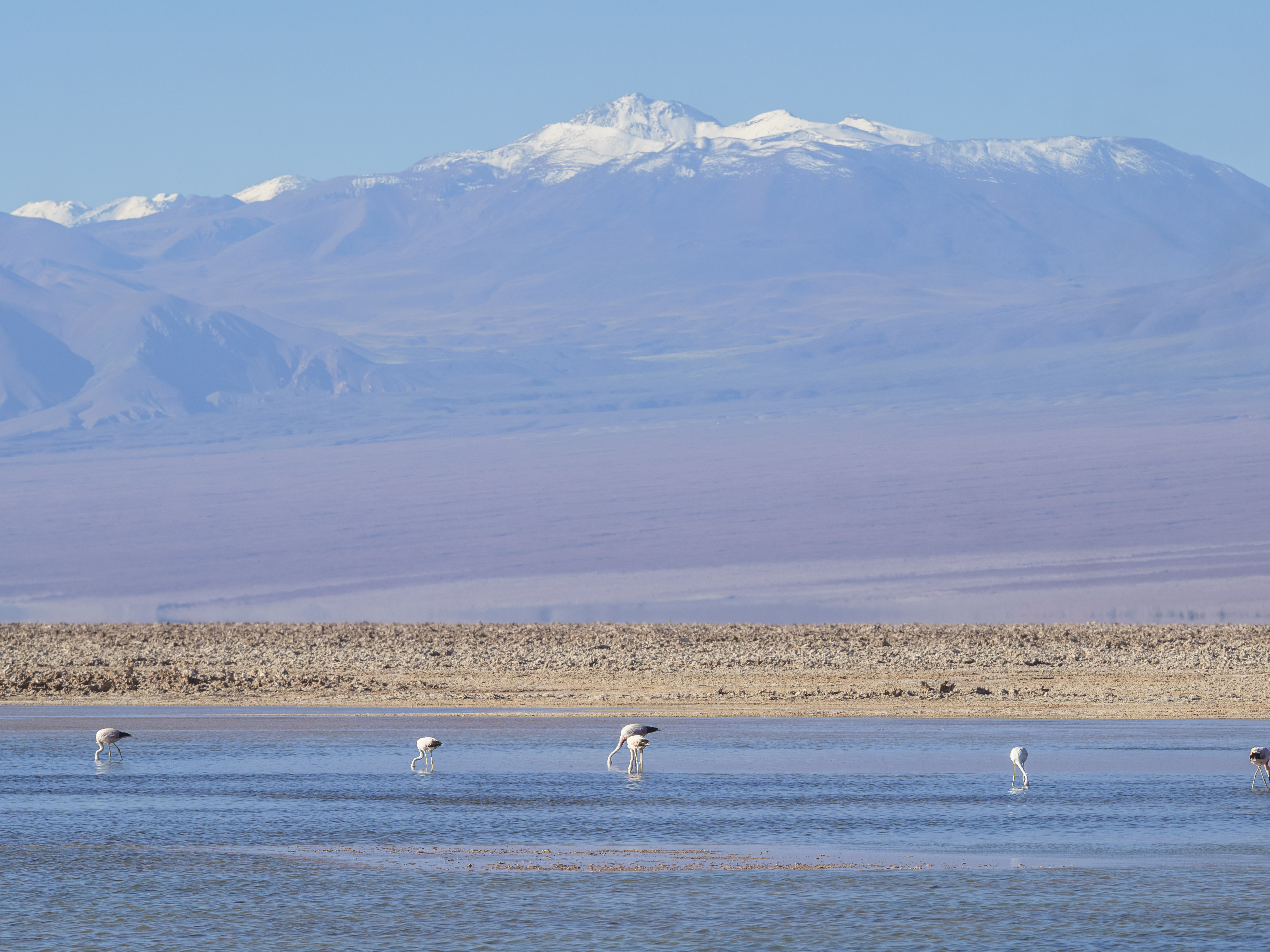 Chile Atacama Desert