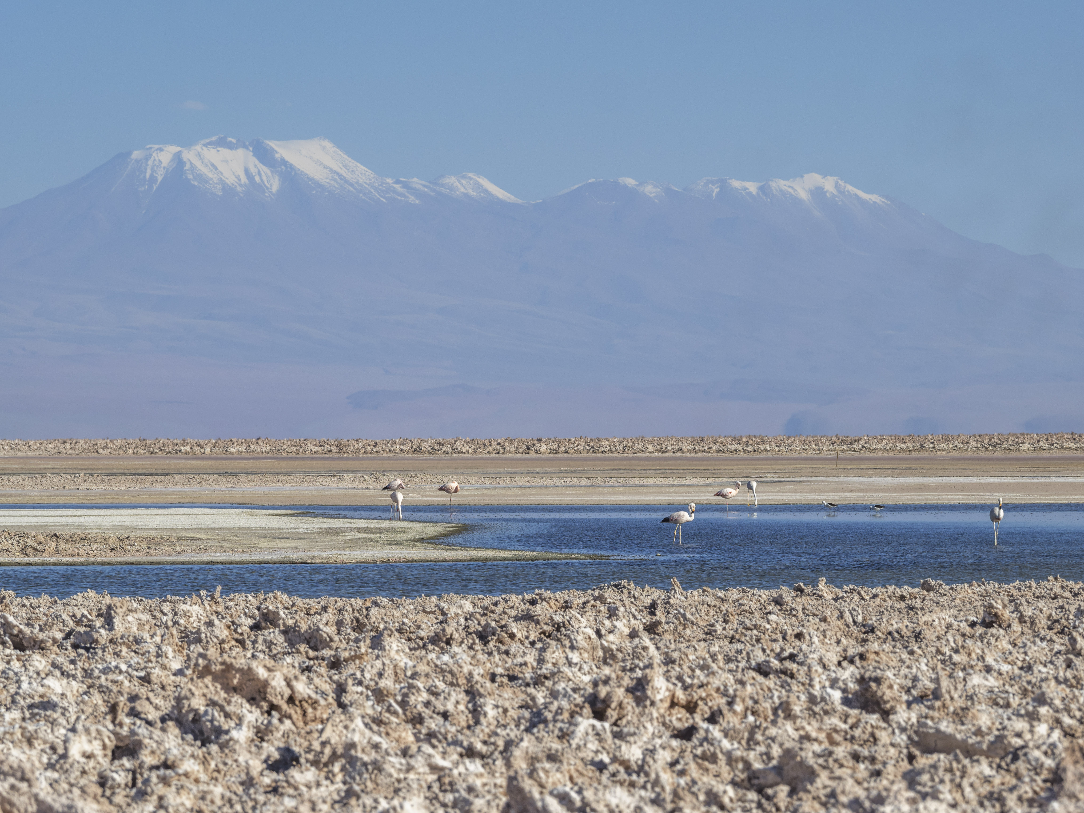 Chile Atacama Desert