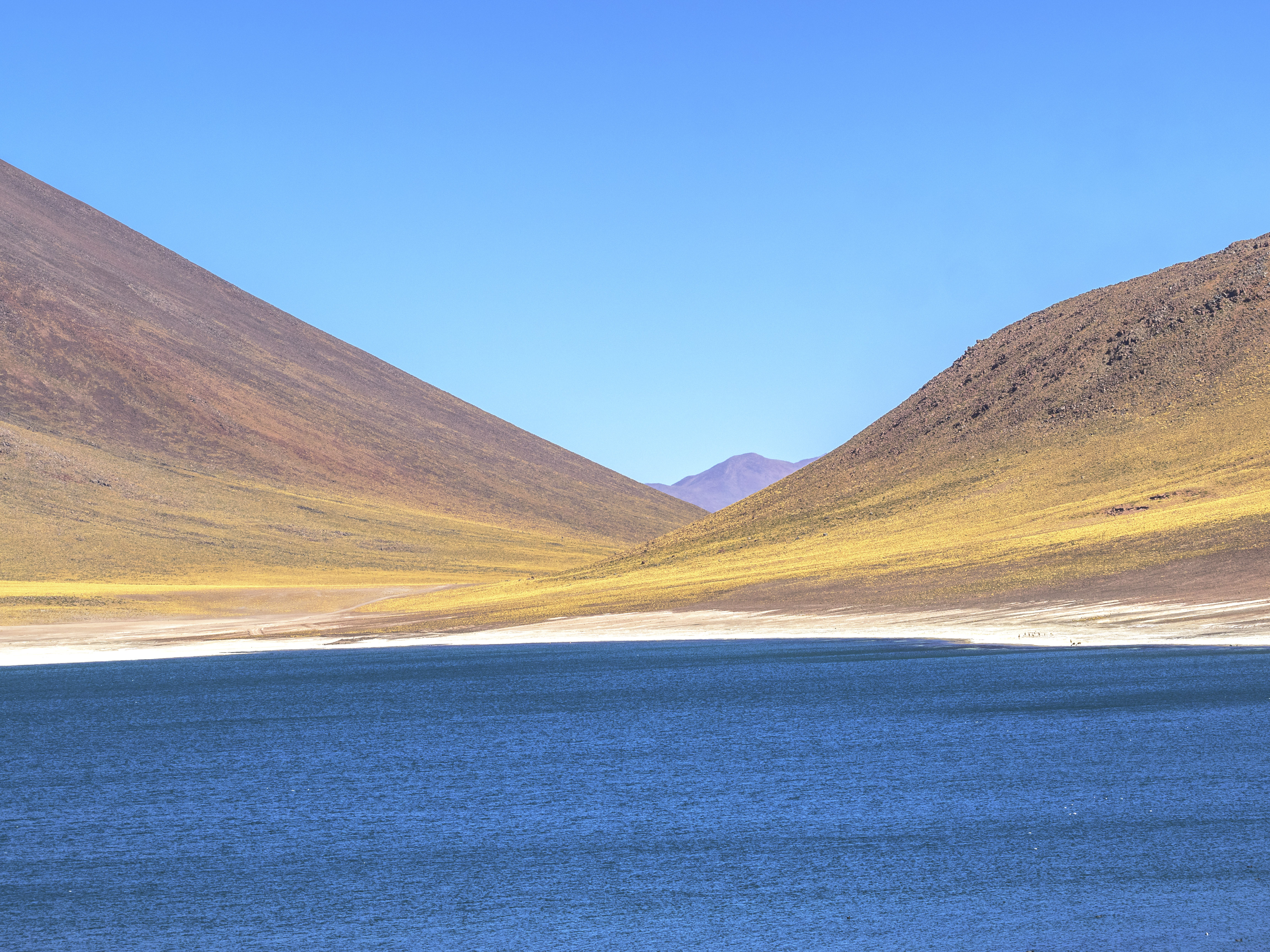 Chile Atacama Desert