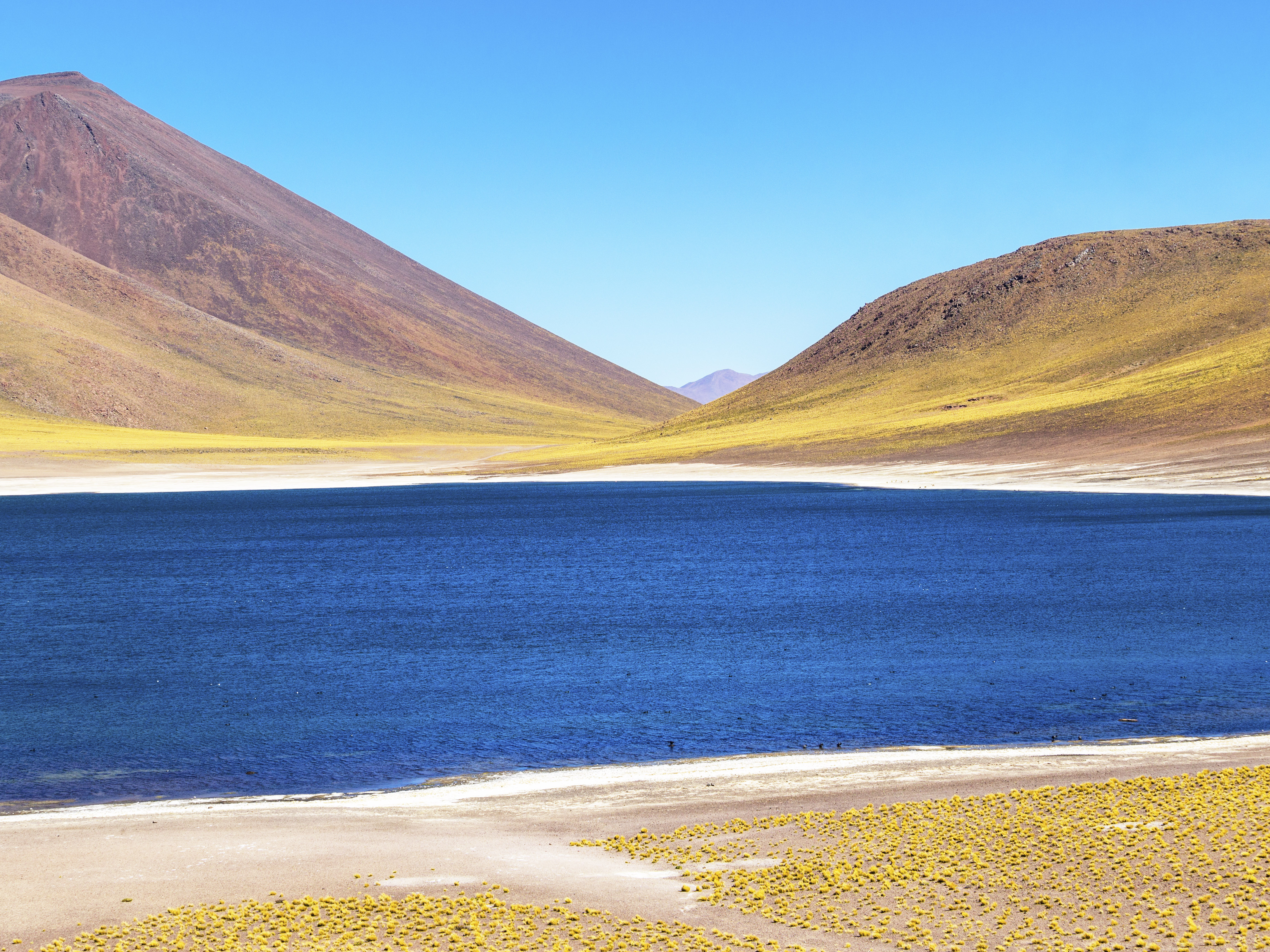 Chile Atacama Desert