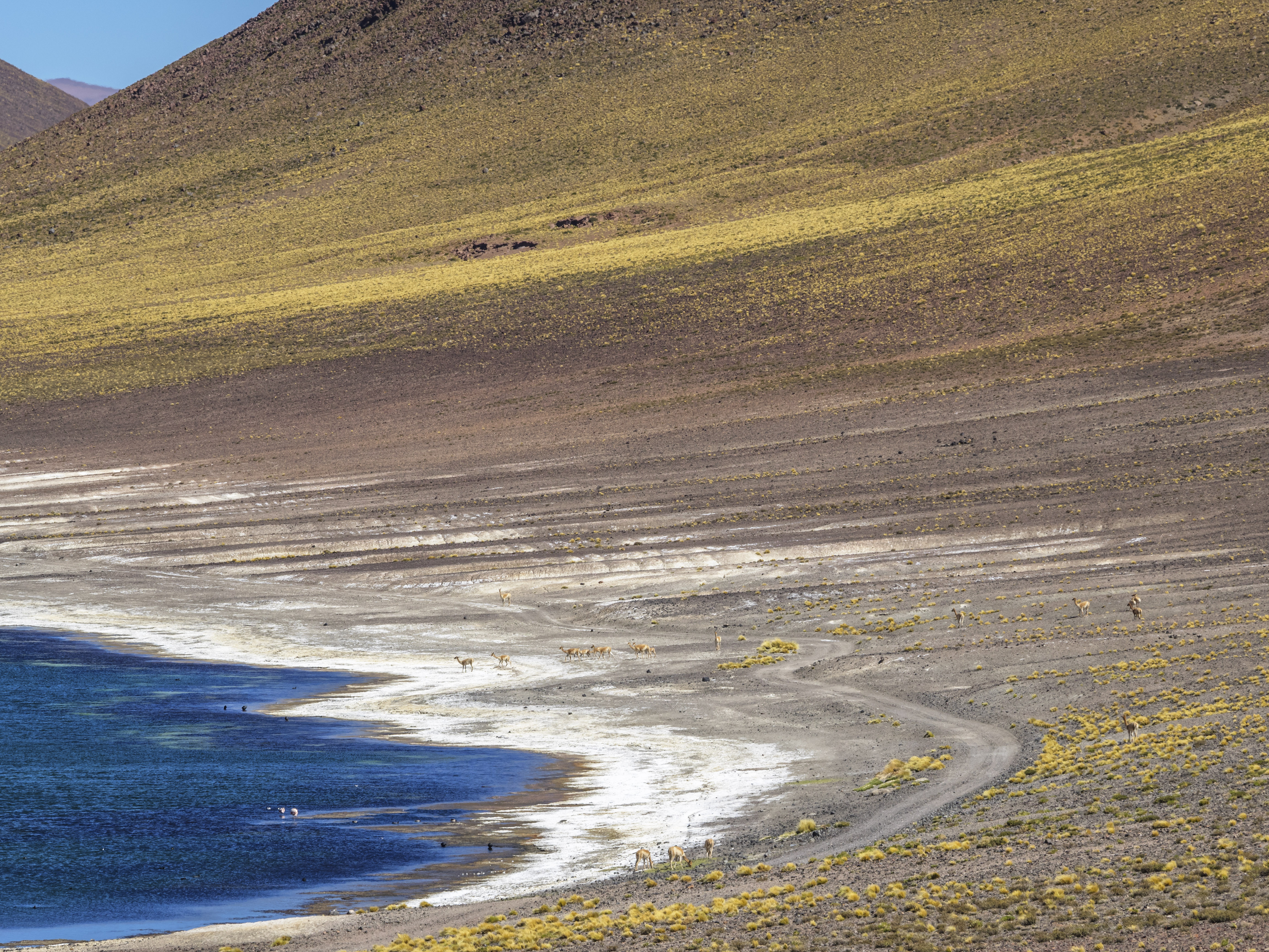 Chile Atacama Desert