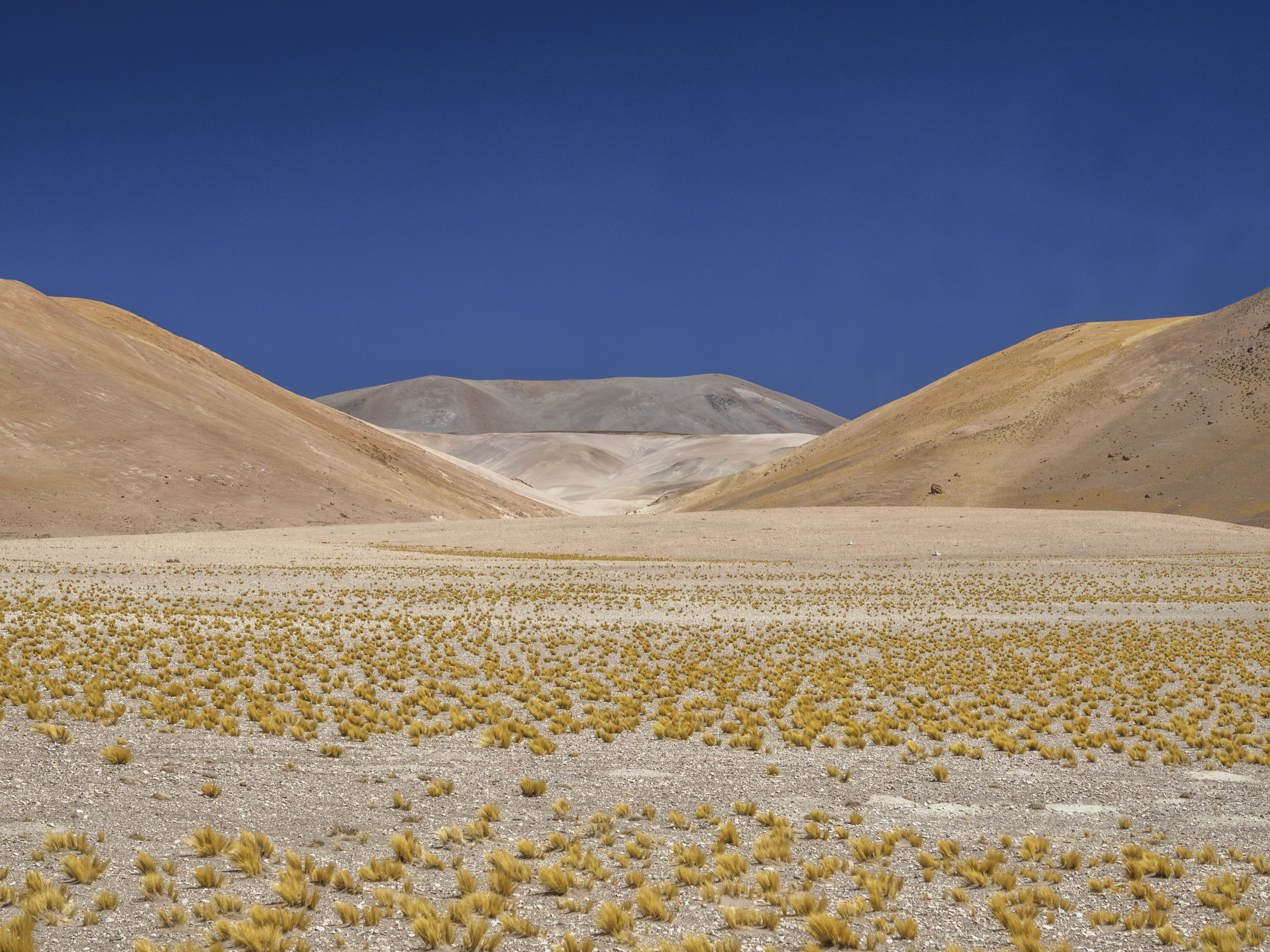 Chile Atacama Desert