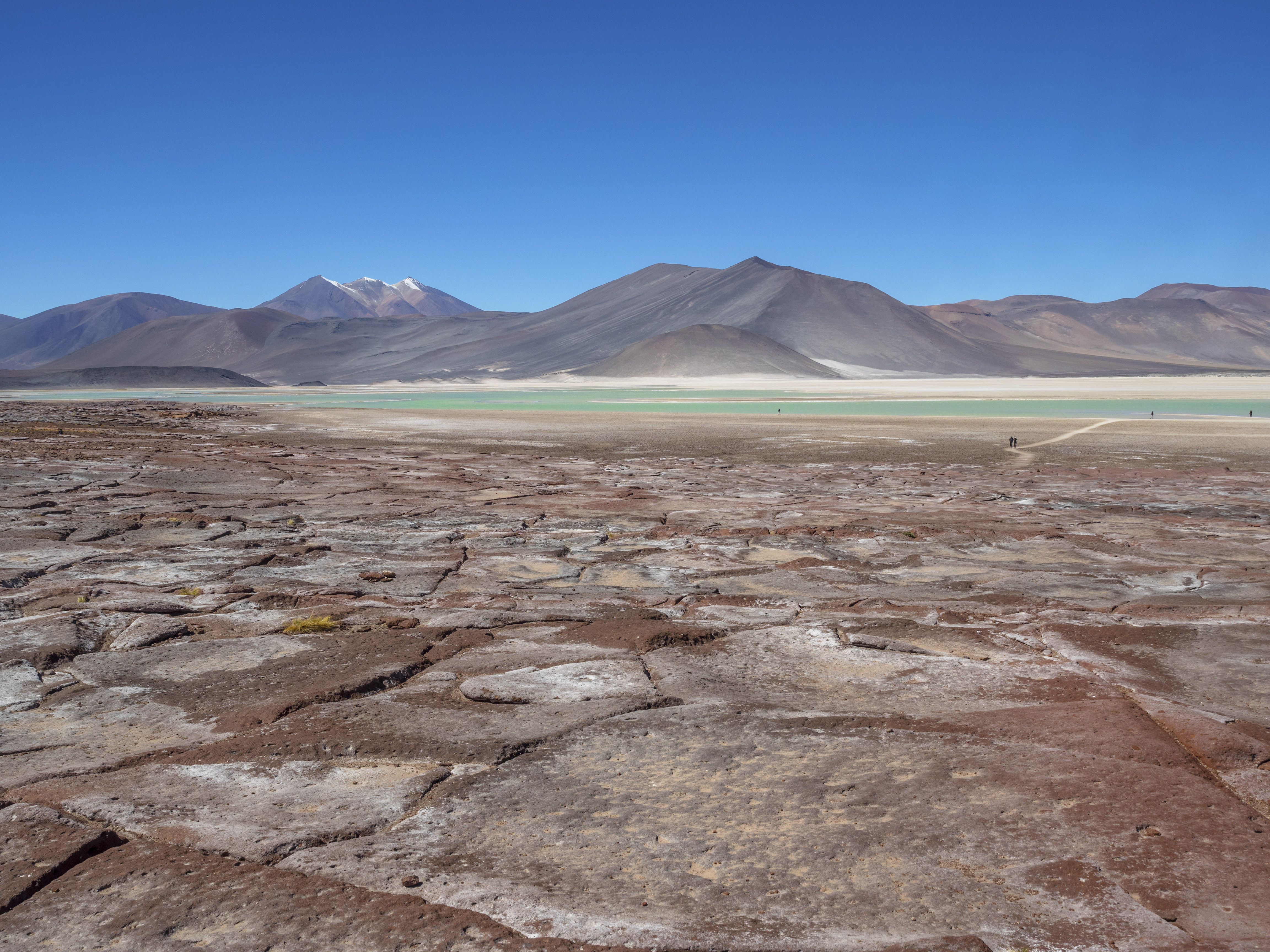 Chile Atacama Desert