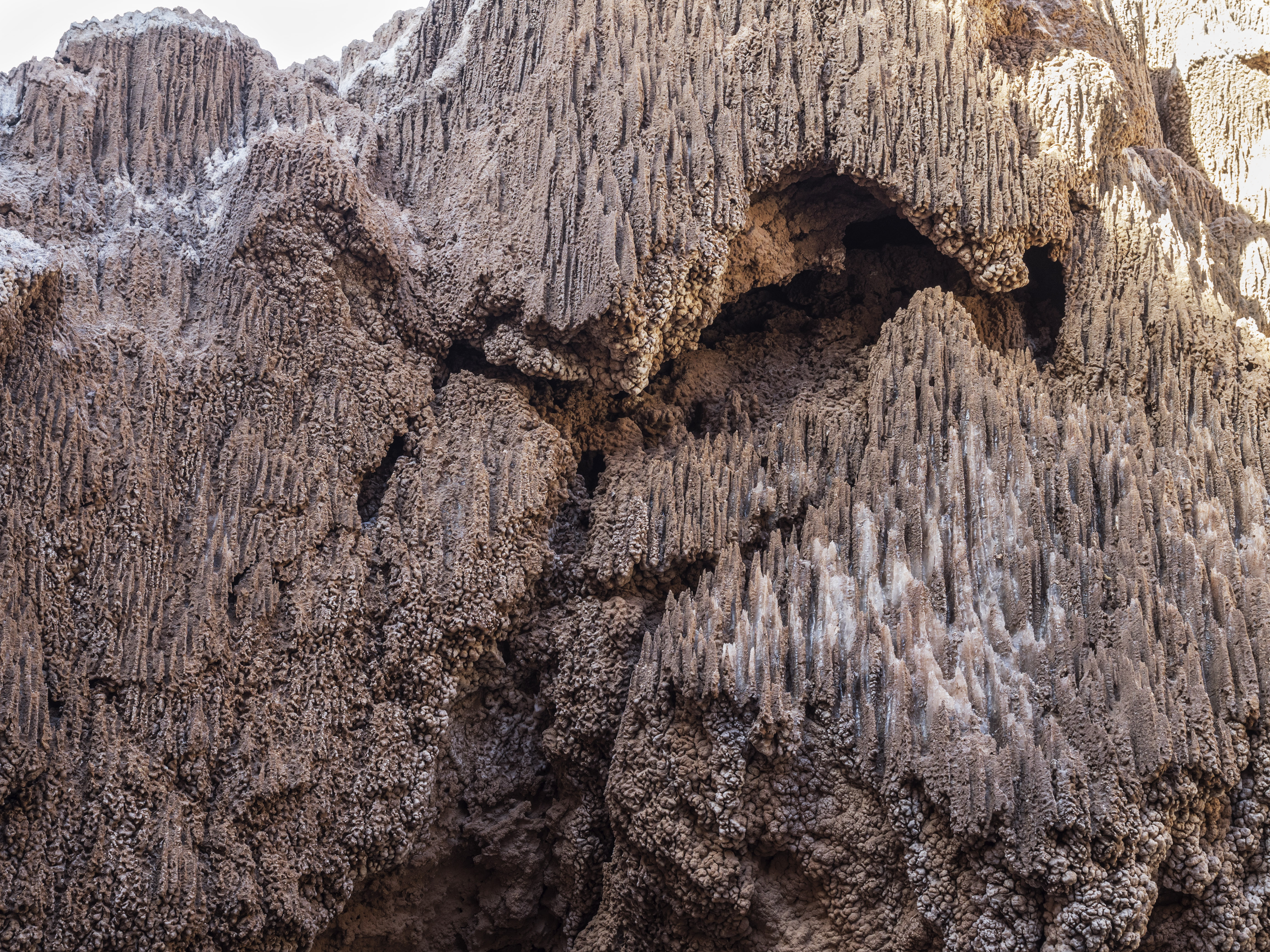 Chile Atacama Desert