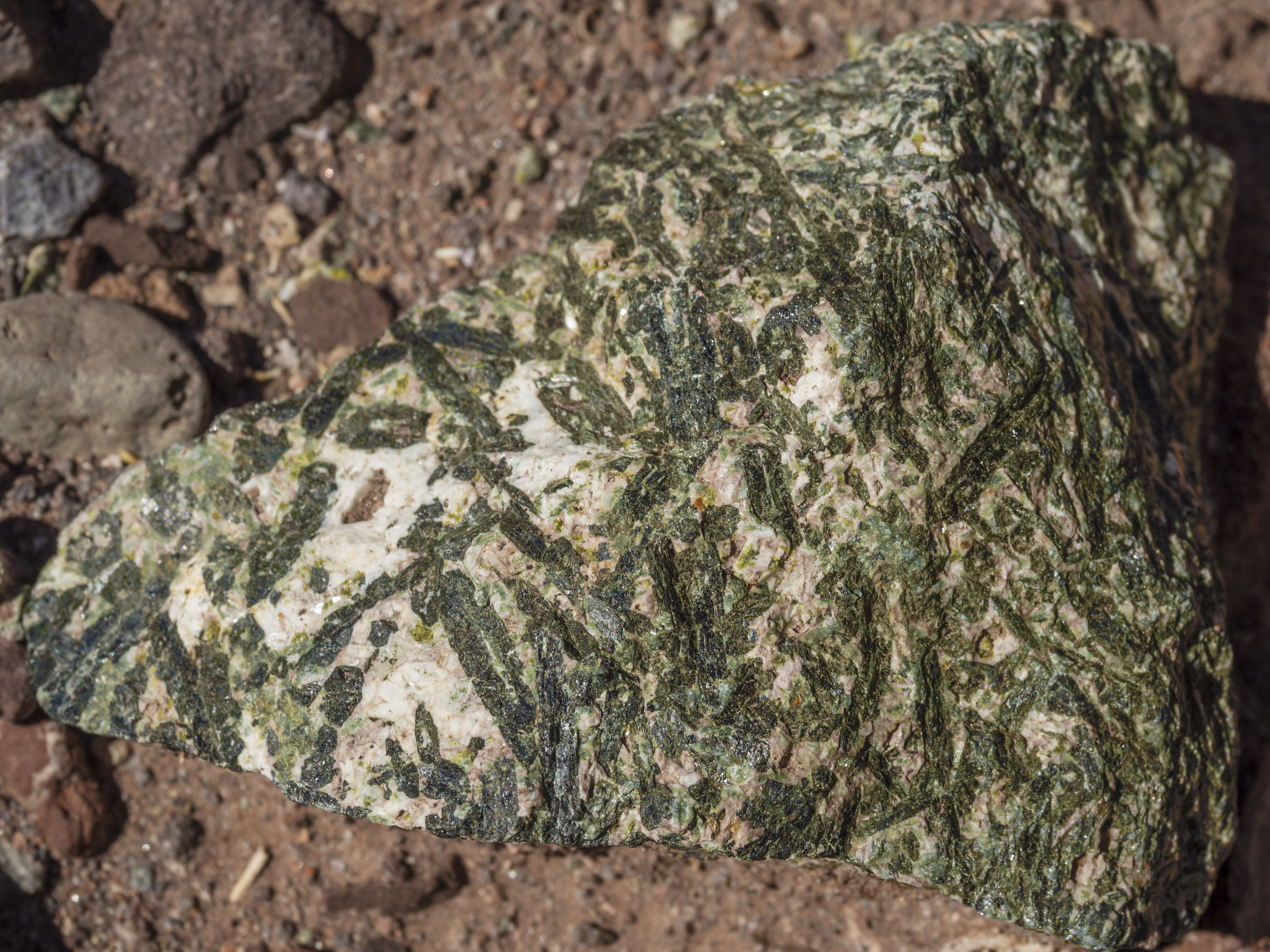 Chile Atacama Desert