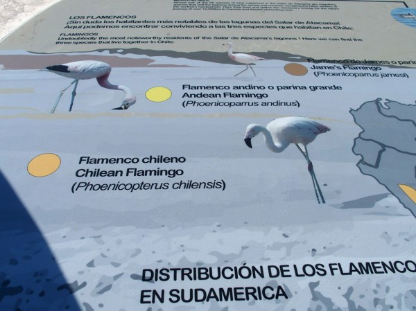 Chile Atacama Desert